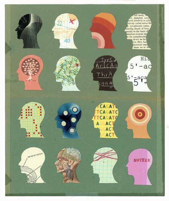 Comprendiendo el Autismo y la Neurodiversidad